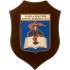 CREST SCUOLA MILITARE SANITÀ AERONAUTICA