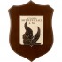 CREST AERONAUTICA MILITARE - SCUOLA SOTTUFFICIALI