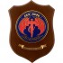 CREST AERONAUTICA MILITARE - CXX AUPC BELFAGOR