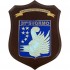 CREST AERONAUTICA MILITARE - 31° STORMO