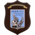 CREST AERONAUTICA MILITARE - SCUOLA SPECIALISTI AERONAUTICA MILITARE CASERTA