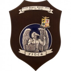 CREST AERONAUTICA MILITARE - XIII FIDES