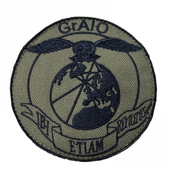 PATCH AERONAUTICA MILITARE GRUPPO ANALISI IMMAGINI OPERATIVE (GrAIO) MIMETICA