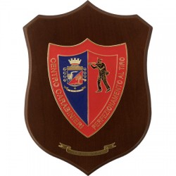 CREST CARABINIERI - CENTRO PERFEZIONAMENTO AL TIRO