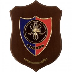 CREST CARABINIERI - G.I.S. GRUPPO INTERVENTO SPECIALE