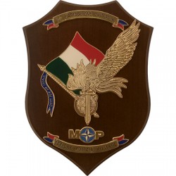 CREST CARABINIERI - 10° BATTAGLIONE "CAMPANIA" SEZIONE POLIZIA MILITARE