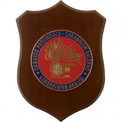 CREST COMANDO PROVINCIALE CARABINIERI SALERNO - LABORATORIO ANALISI