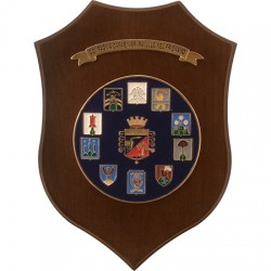 CREST COMPAGNIA CARABINIERI PAVULLO NEL FRIGNANO