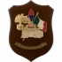 CREST CARABINIERI MESAGNE