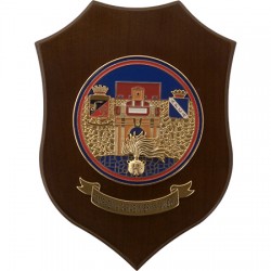 CREST COMPAGNIA CARABINIERI AMELIA