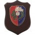 CREST ASSOCIAZIONE NAZIONALE CARABINIERI