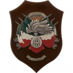 CREST CARABINIERI - COCER 8° MANDATO