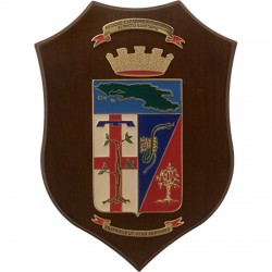 CREST CARABINIERI REGIONE CAMPANIA - SERVIZIO SANITARIO