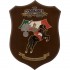 CREST CARABINIERI - 6° COMPAGNIA GLADIATORI 243° CORSO  2° BATTAGLIONE REGGIO CALABRIA