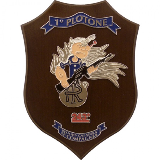 CREST CARABINIERI REGGIO CALABRIA - 243° CORSO 1°PLOTONE 6°  COMPAGNIA