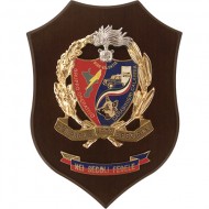 CREST CARABINIERI VIBO VALENTIA - GRUPPO OPERATIVO