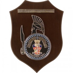 CREST CARABINIERI - CORSO APPLICATIVO STRAORDINARIO