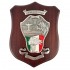 CREST CARABINIERI FOGGIA NUCLEO INVESTIGATIVO