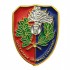 SPILLA A.N.C. - ASSOCIAZIONE NAZIONALE CARABINIERI