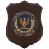 CREST POLIZIA MUNICIPALE CAVA DE' TIRRENI