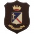 CREST E.I. - COMANDO MILITARE ESERCITO "CAMPANIA" 