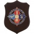 CREST E.I. - AFSOUTH ITALIAN SUPPORT ELEMENT