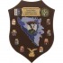 CREST E.I. - BOSNIA ERZEGOVINA JOINT FORGE COMPAGNIA C4-PEW