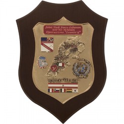 CREST E.I. - JOINT TASK FORCE LEBANON - OPERAZIONE LEONTE 4