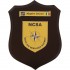 CREST E.I. - NAPLES SECTOR NCSA - NATO CIS SERVICES AGENCY