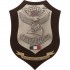 CREST E.I. - 2° REGGIMENTO "AQUILA" NULLI SECUNDI