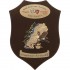 CREST E.I. - JOINT TASK FORCE LEBANON - CENTRO SISTEMI C4