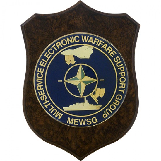 CREST E.I. - NATO MEWSG - MULTI-SERVICE ELECTRONIC WARFARE SUPPORT GROUP