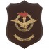 CREST E.I. - AVIAZIONE ESERCITO VITERBO