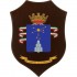 CREST E.I. - 4° REGGIMENTO AVIAZIONE "ALTAIR" - "NEC ASPERA NEC ARDUA COELA TIMEO"