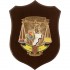 CREST GUARDIA DI FINANZA - TENENZA LAMEZIA TERME