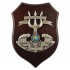 CREST GUARDIA DI FINANZA - SCUOLA NAUTICA "A. PASCALE"