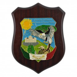 CREST GUARDIA DI FINANZA - COMANDO GRUPPO FRASCATI