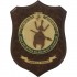 CREST GUARDIA DI FINANZA - COMPAGNIA DI AGROPOLI