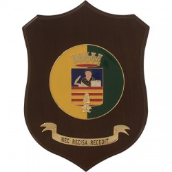 CREST GUARDIA DI FINANZA - SALERNO