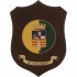 CREST GUARDIA DI FINANZA - SALERNO