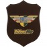 CREST GUARDIA DI FINANZA - YELLOW FIRE MOTO CLUB ONLUS