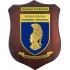 CREST GUARDIA DI FINANZA - SCUOLA POLIZIA ECONOMICO - FINANZIARIA