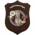 CREST GUARDIA DI FINANZA - MISSIONE ALBANIA