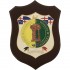 CREST GUARDIA DI FINANZA - TENENZA CATTOLICA