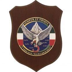 CREST GUARDIA DI FINANZA - 9° CORSO AA. FF. "M.O.M.C. APP. D. AMATO"