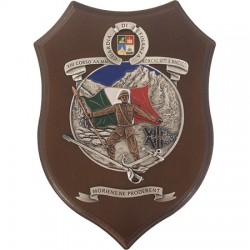 CREST GUARDIA DI FINANZA - XIII CORSO AA. MM. "M.O.M.C. ALL. SOTT. B. MINICUCCI"