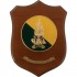 CREST GUARDIA DI FINANZA - FIAMMA