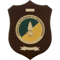 CREST GUARDIA DI FINANZA - CO.I.R. CONSIGLIO INTERMEDIO DI RAPPRESENTANZA