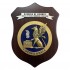 CREST GUARDIA DI FINANZA SCUOLA DI POLIZIA ECONOMICO-FINANZIARIA ESPERTO D'AREA