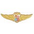 DISTINTIVO AVIAZIONE NAVALE